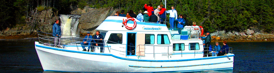 Picture of the Merasheen,the toru boat at Woody Island Resort